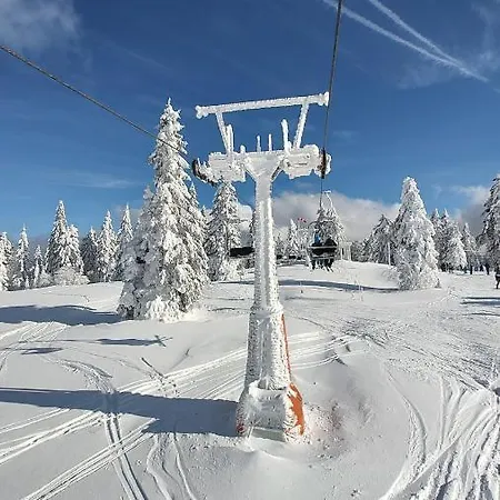 Two Almberg - Mitterdorf-mitterfirmiansreut Apartmán Mitterfirmiansreut