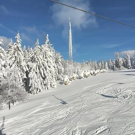 Two Almberg - Mitterdorf-mitterfirmiansreut Apartmán Mitterfirmiansreut