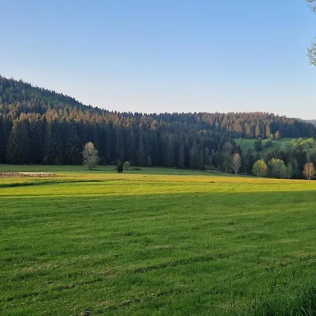 Two Almberg - Mitterdorf-mitterfirmiansreut Apartmán