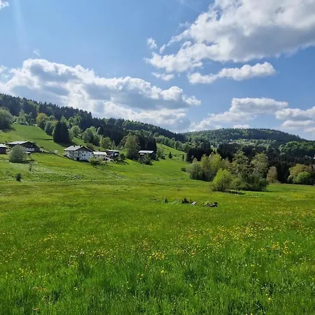 Two Almberg - Mitterdorf-mitterfirmiansreut Apartmán Mitterfirmiansreut