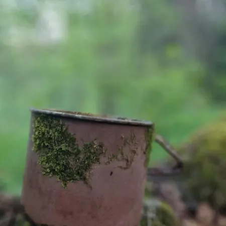 Apartmán Two Almberg - Mitterdorf-mitterfirmiansreut *