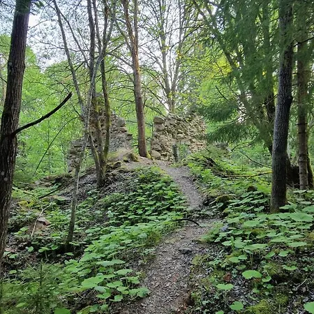 Two Almberg - Mitterdorf-mitterfirmiansreut Apartmán Mitterfirmiansreut