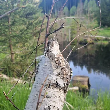 Two Almberg - Mitterdorf-mitterfirmiansreut Apartmán